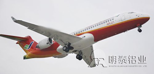 2024加硬香蕉视频啪啪用於飛機結構